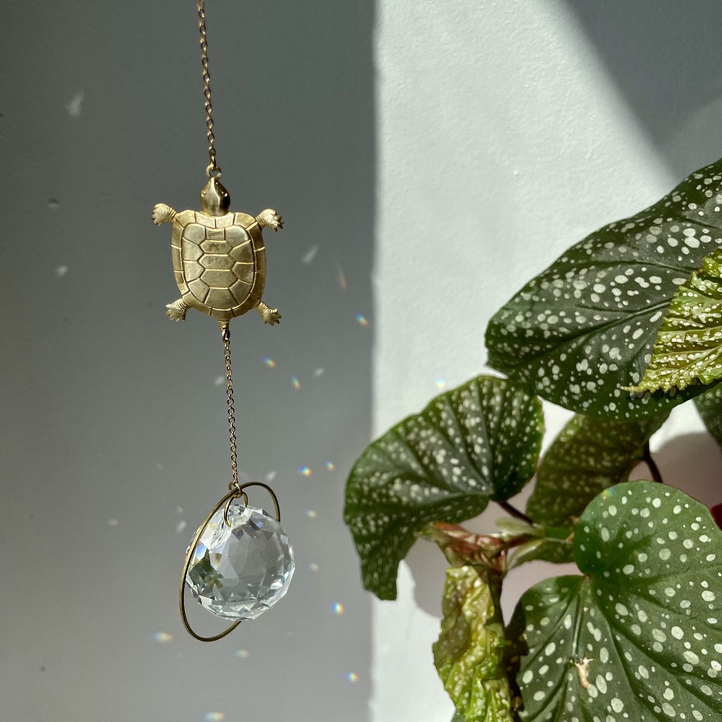 Suncatcher Schildkröte