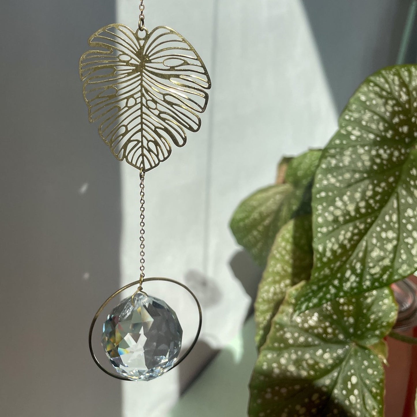 Suncatcher Monstera