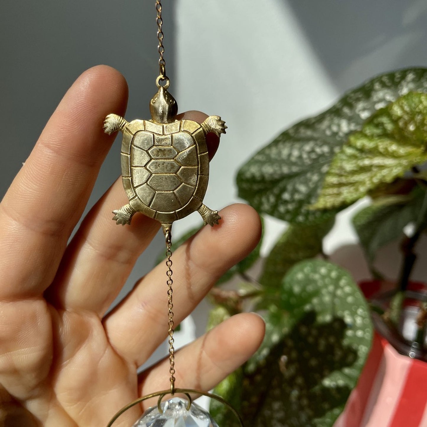Suncatcher Schildkröte