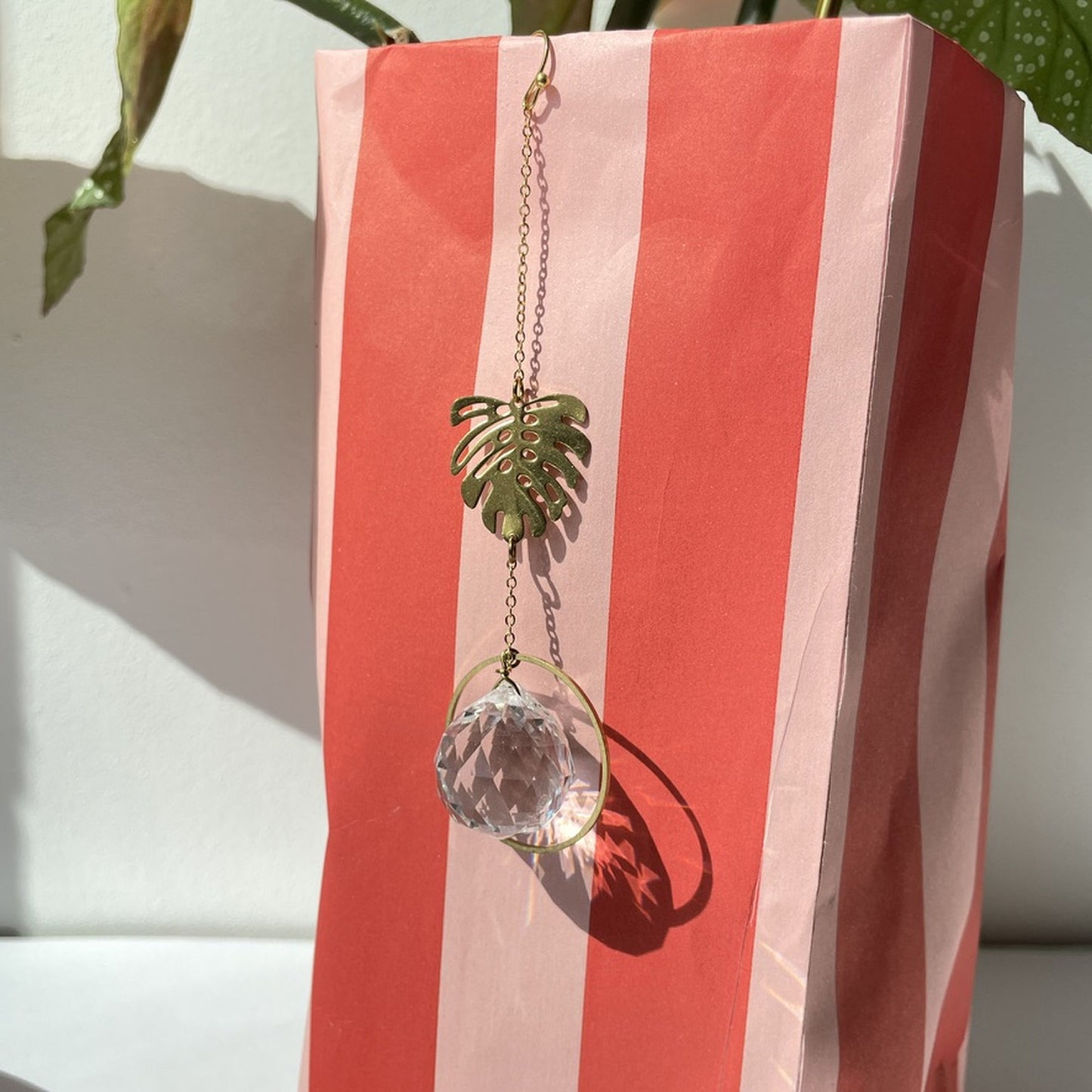 Suncatcher Minimonstera