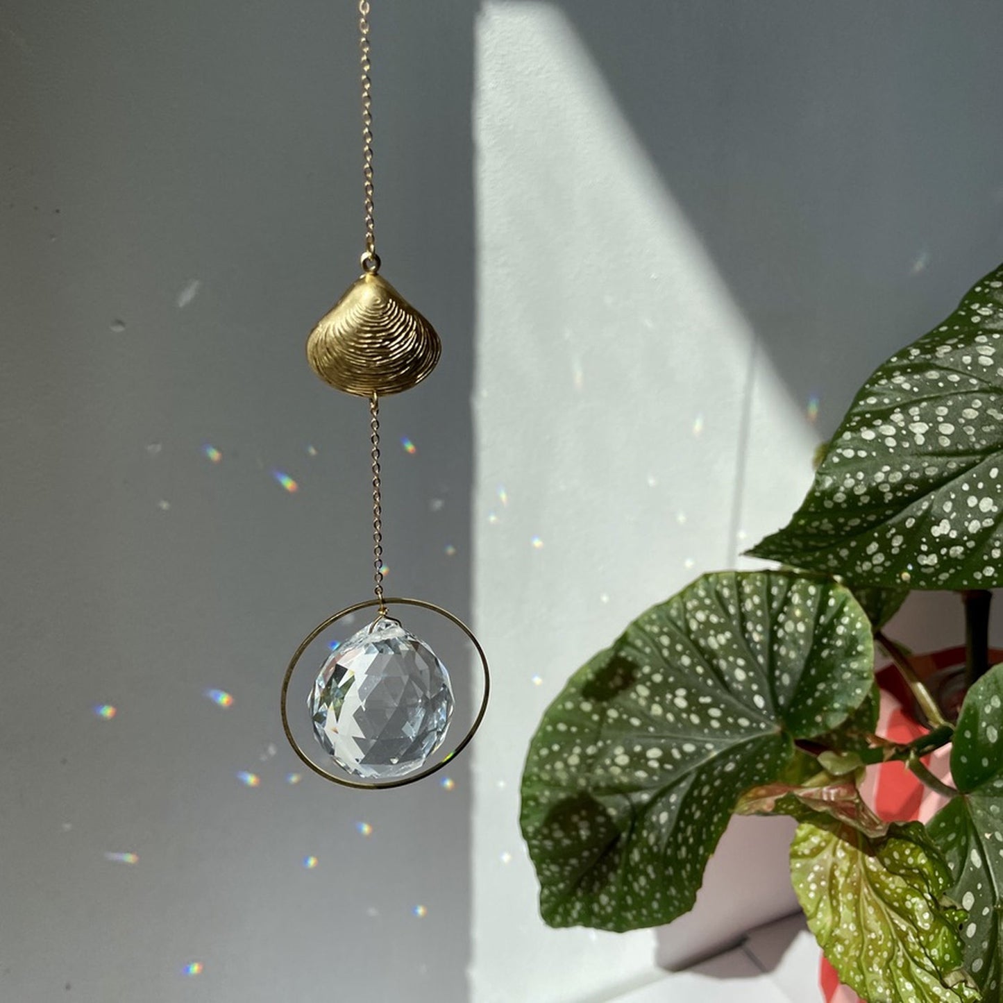 Suncatcher Muschel . organisch