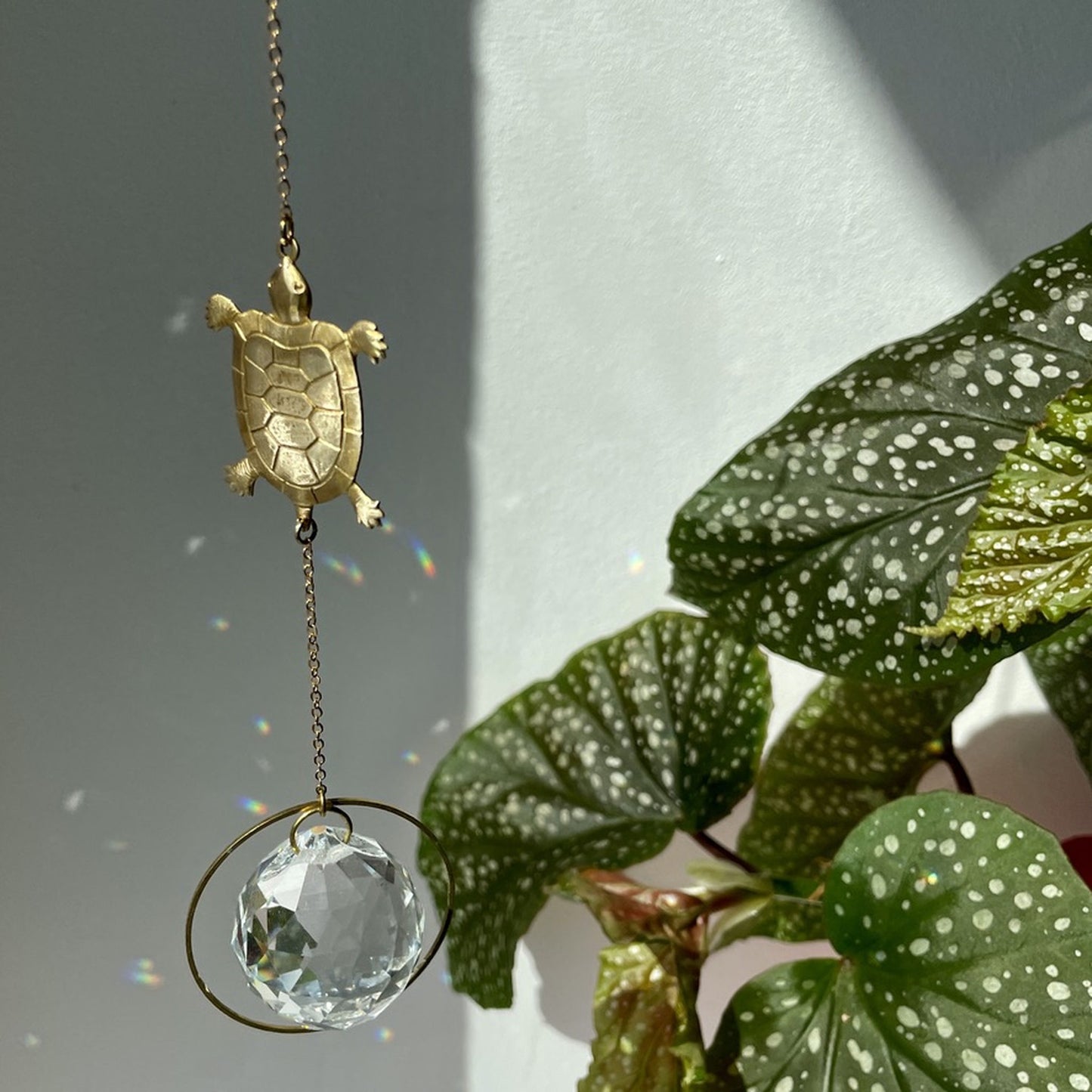 Suncatcher Schildkröte