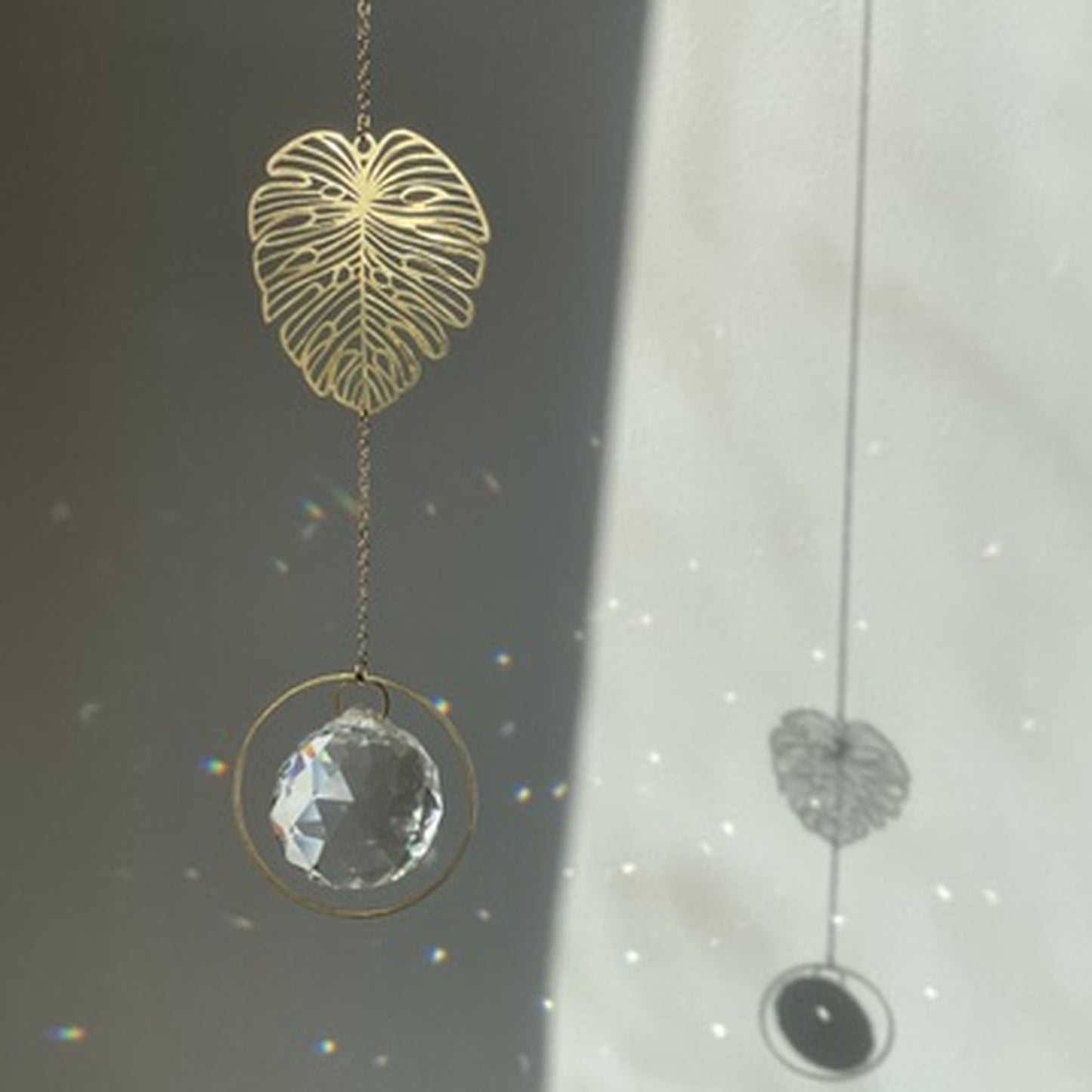 Suncatcher Monstera