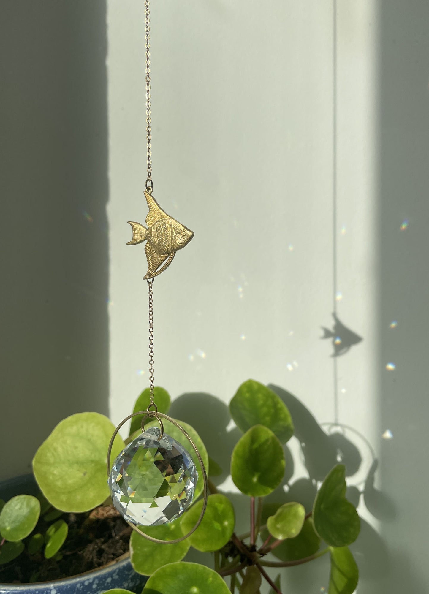 Suncatcher Fisch