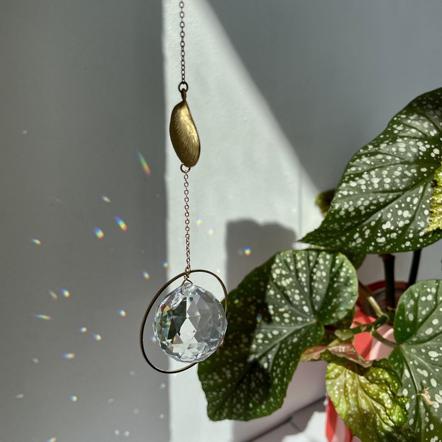 Suncatcher Muschel . organisch