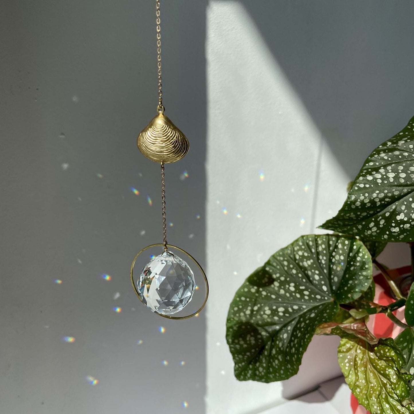 Suncatcher Muschel . organisch