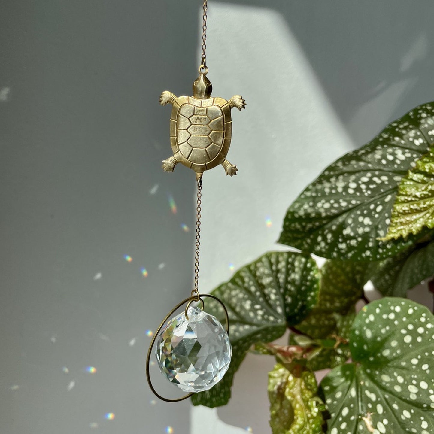 Suncatcher Schildkröte