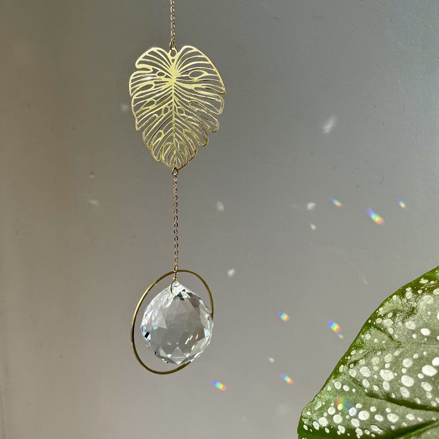 Suncatcher Monstera