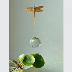 Suncatcher_libelle_dragonfly_window