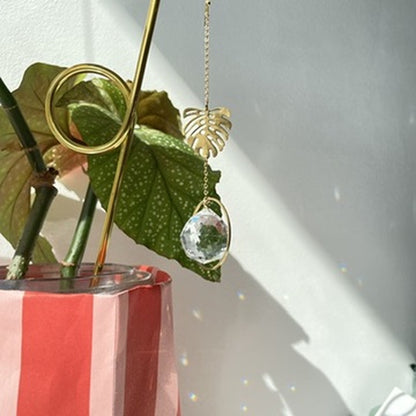 Suncatcher Minimonstera