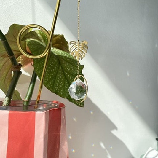Suncatcher Minimonstera