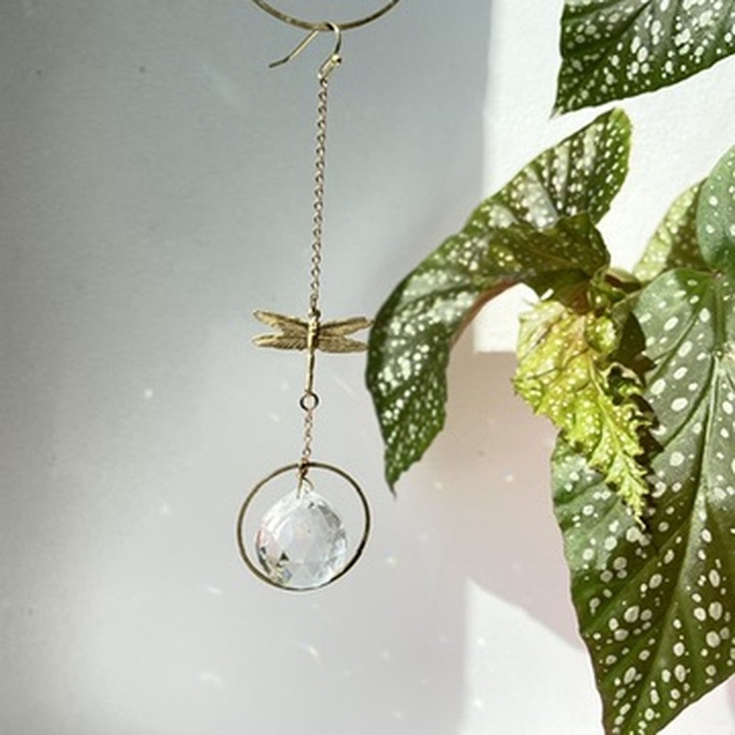 Suncatcher Minilibelle