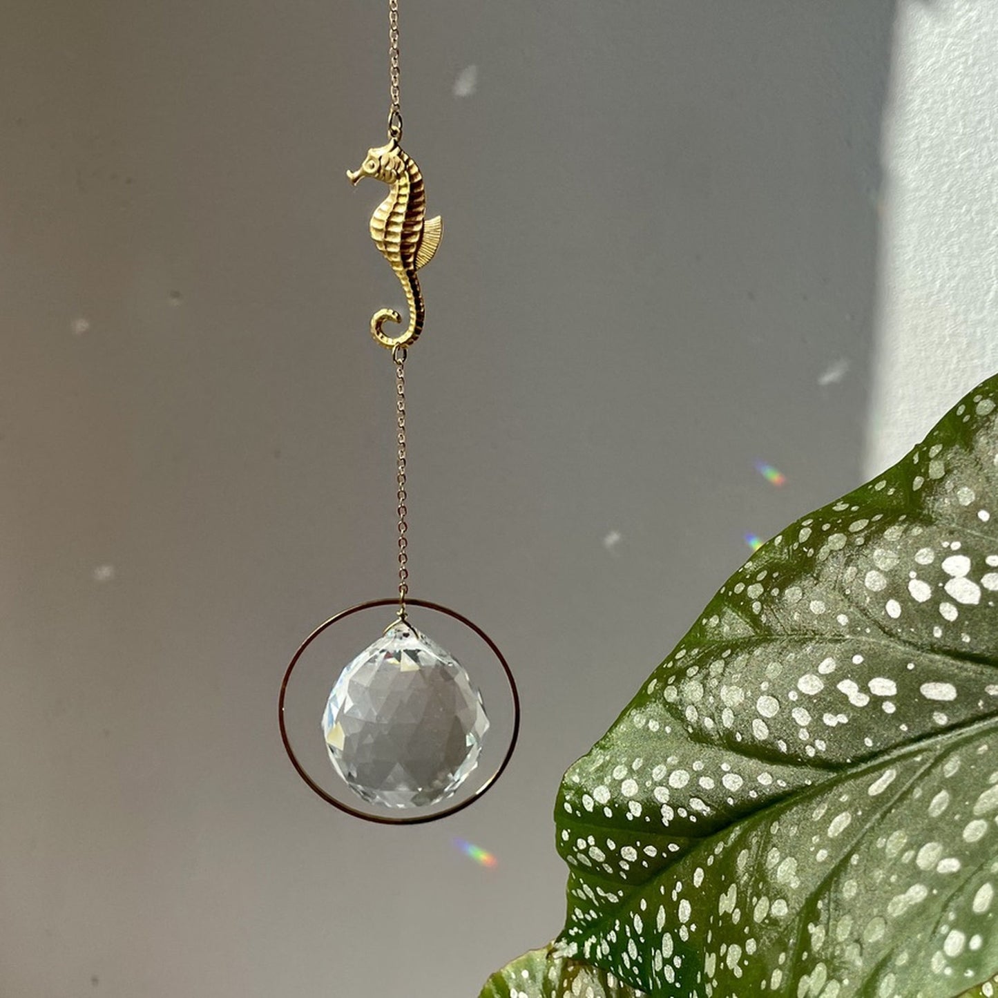 Suncatcher Seepferdchen