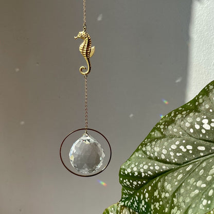 Suncatcher Seepferdchen