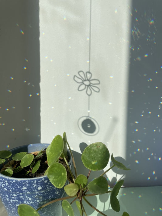 Suncatcher Blume