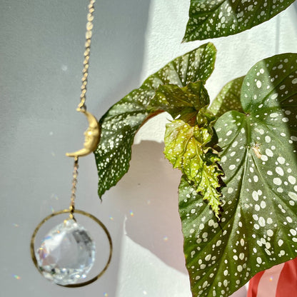 Suncatcher Minimond