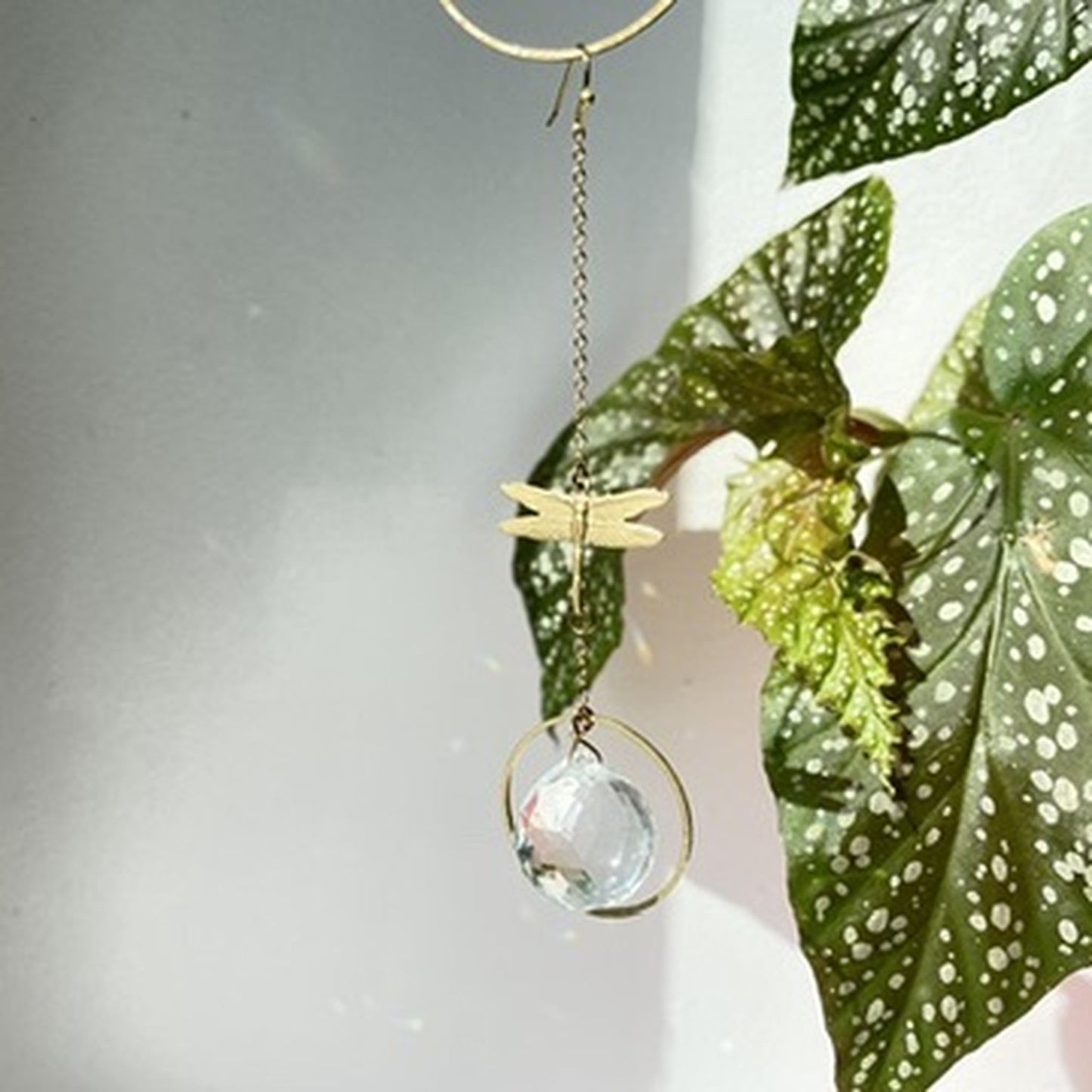Suncatcher Minilibelle
