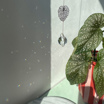 Suncatcher Monstera