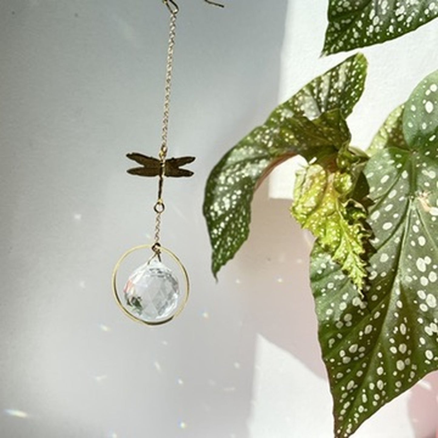 Suncatcher Minilibelle