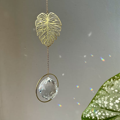 Suncatcher Monstera