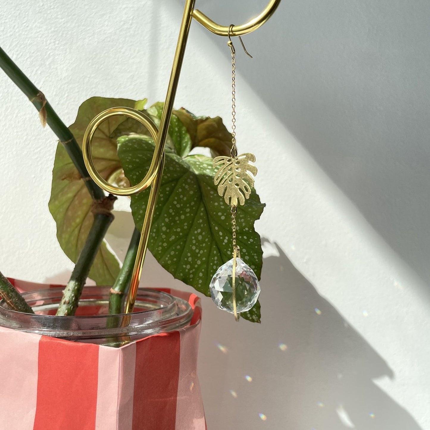 Suncatcher Minimonstera